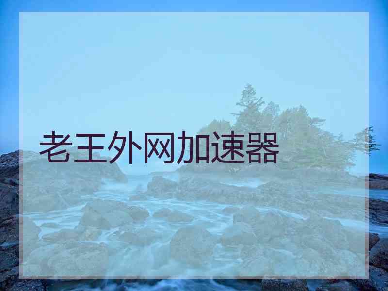 老王外网加速器