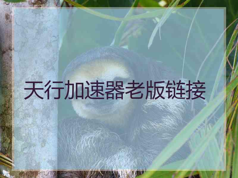 天行加速器老版链接