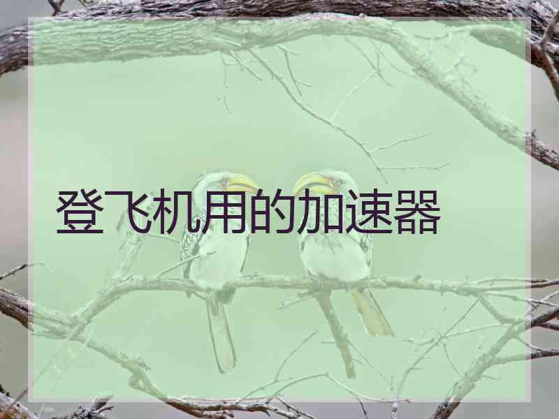 登飞机用的加速器