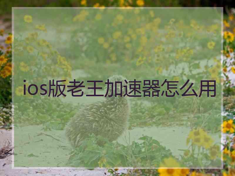 ios版老王加速器怎么用