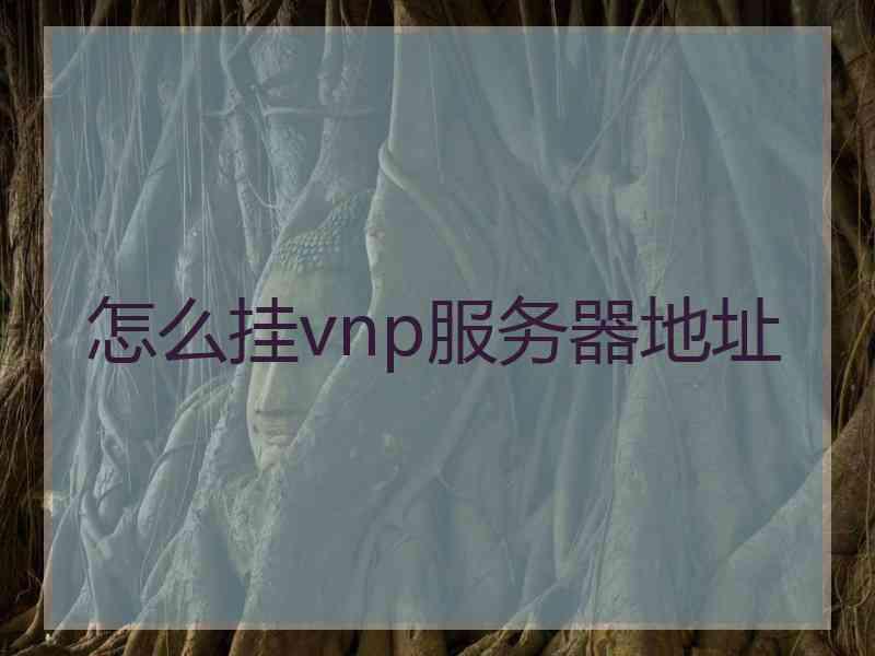 怎么挂vnp服务器地址