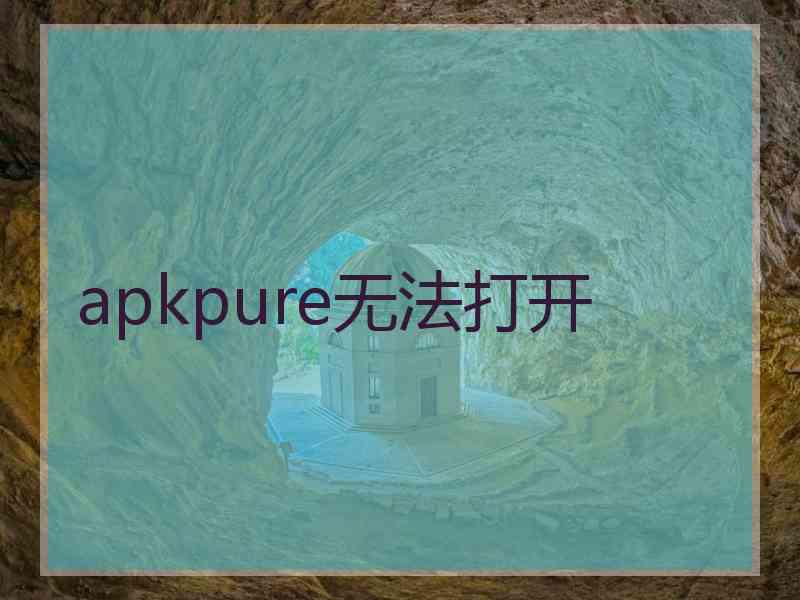 apkpure无法打开