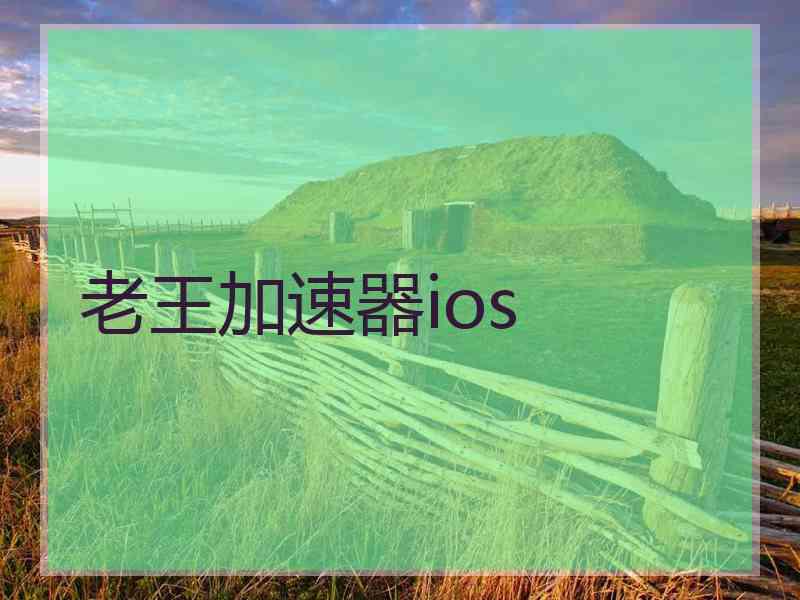 老王加速器ios