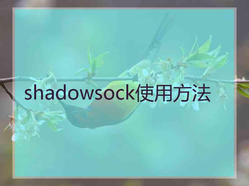 shadowsock使用方法