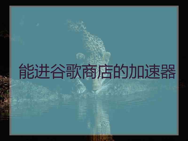 能进谷歌商店的加速器