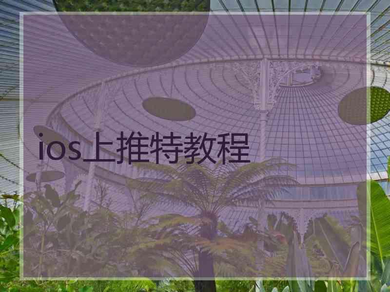 ios上推特教程