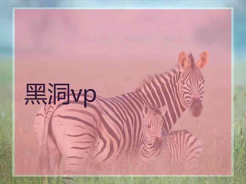 黑洞vp