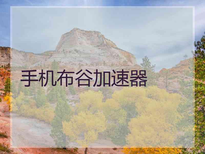 手机布谷加速器