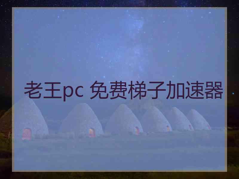 老王pc 免费梯子加速器