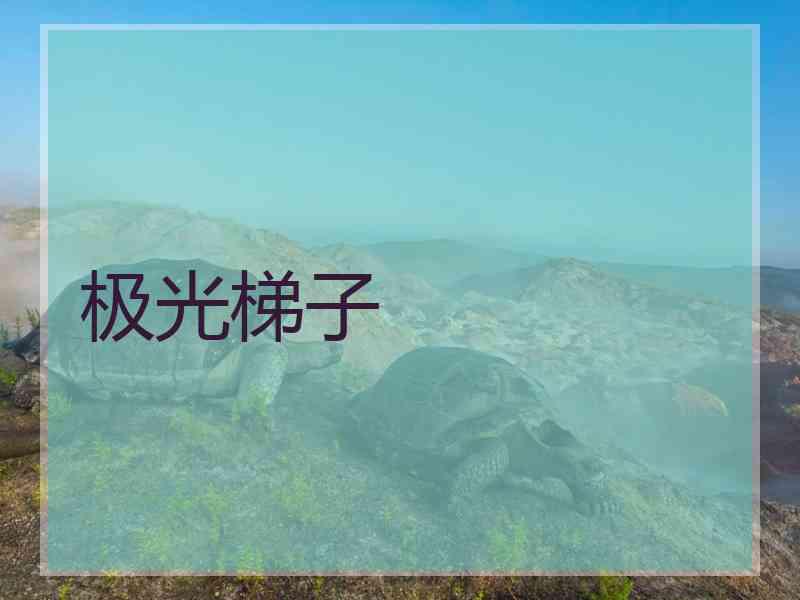 极光梯子