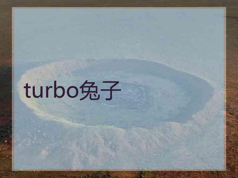 turbo兔子