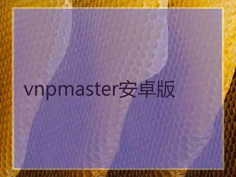 vnpmaster安卓版