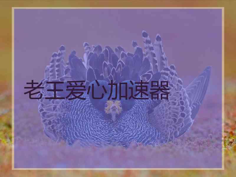 老王爱心加速器