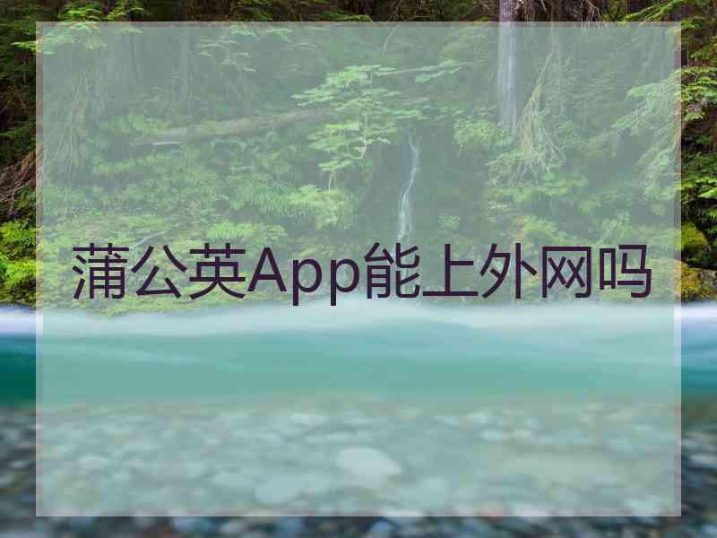 蒲公英App能上外网吗