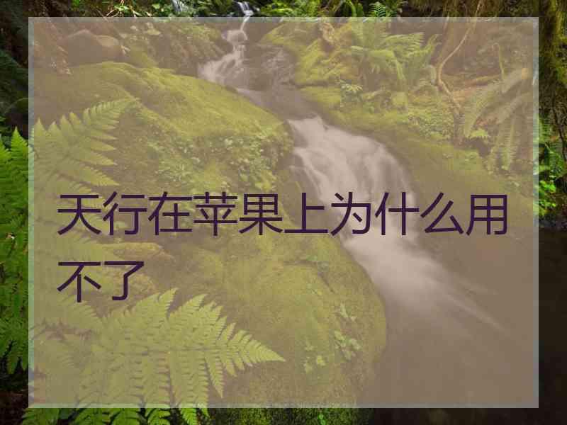 天行在苹果上为什么用不了