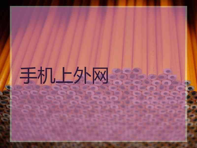 手机上外网