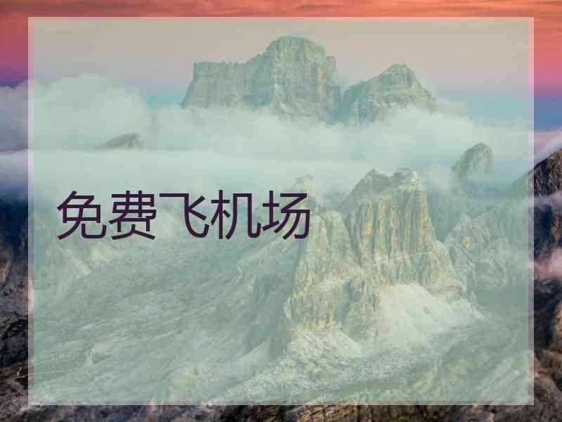 免费飞机场