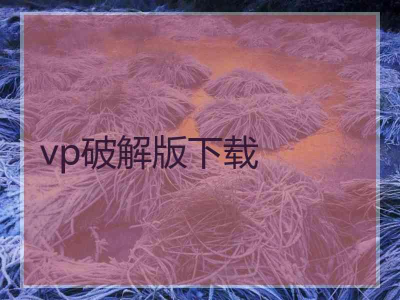 vp破解版下载