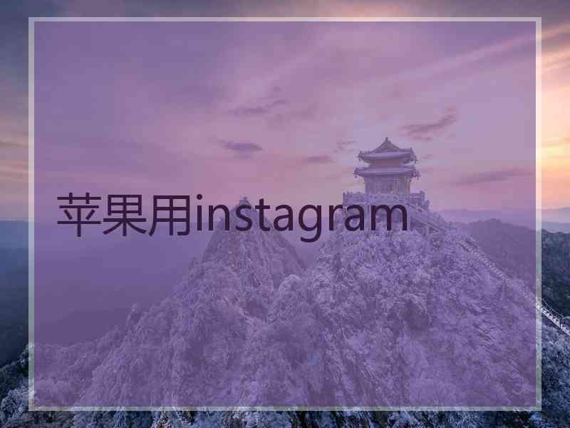 苹果用instagram