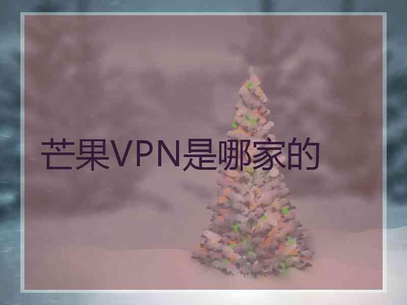 芒果VPN是哪家的