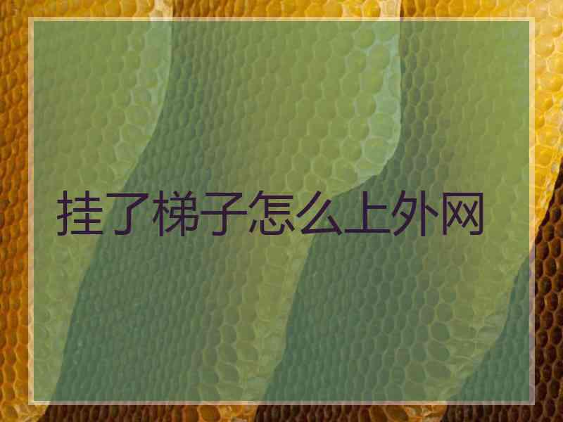 挂了梯子怎么上外网