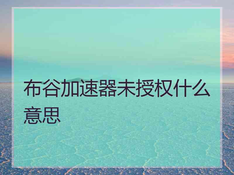 布谷加速器未授权什么意思