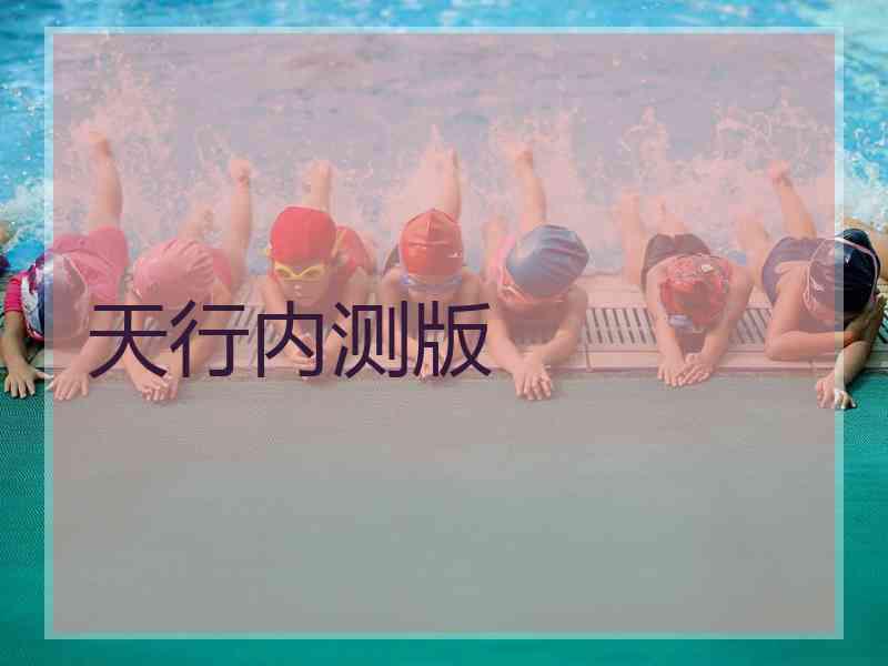 天行内测版