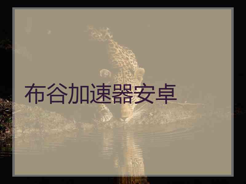 布谷加速器安卓