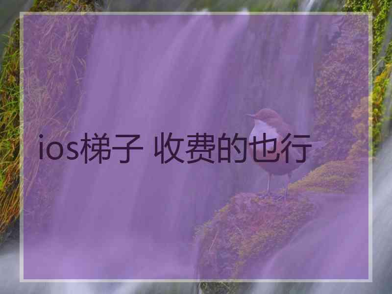ios梯子 收费的也行