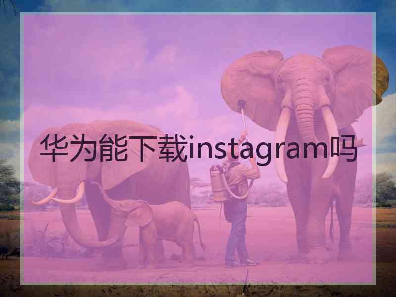 华为能下载instagram吗