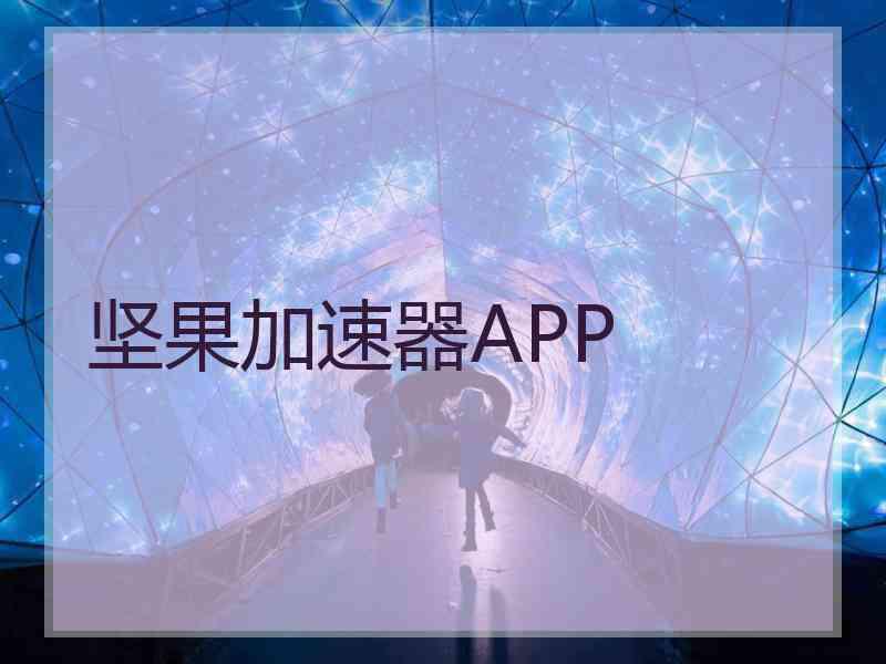 坚果加速器APP