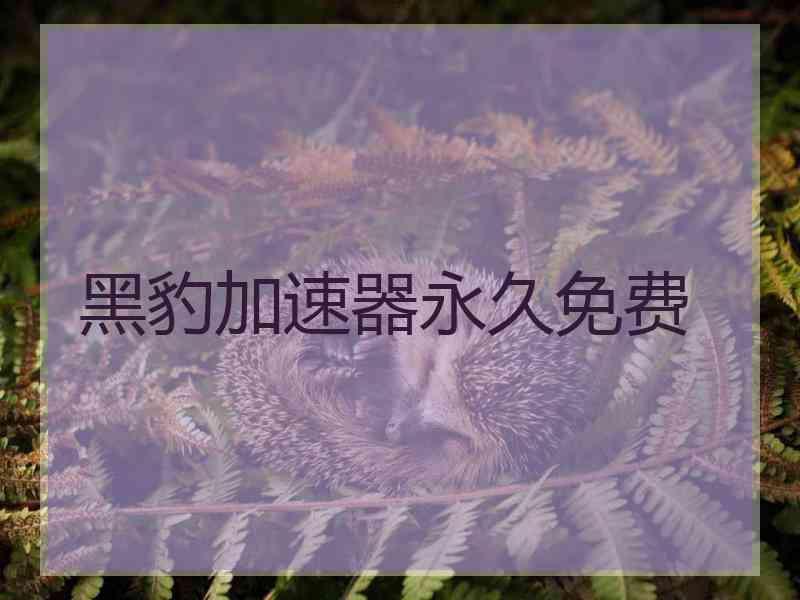 黑豹加速器永久免费