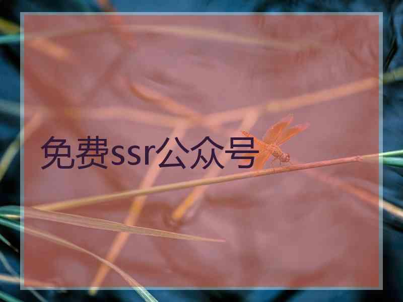 免费ssr公众号