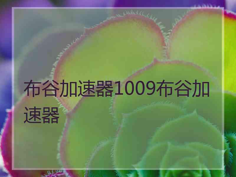 布谷加速器1009布谷加速器