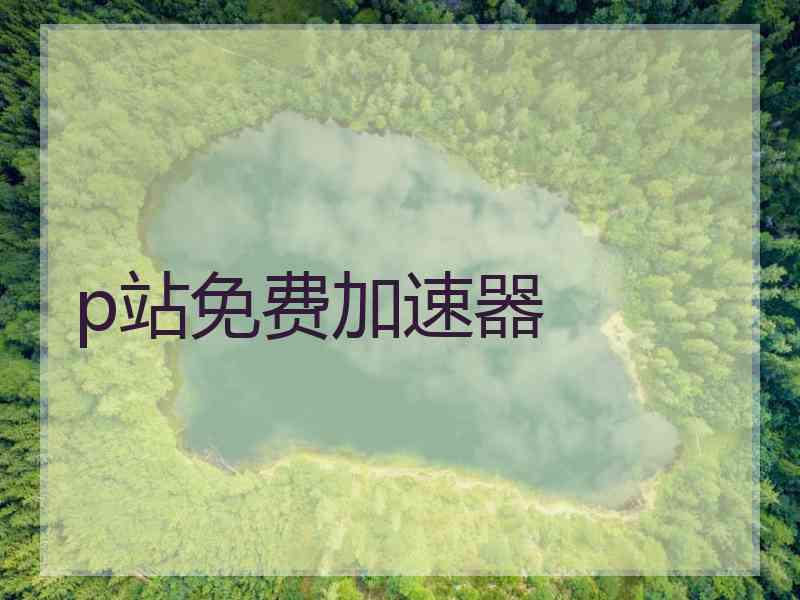 p站免费加速器
