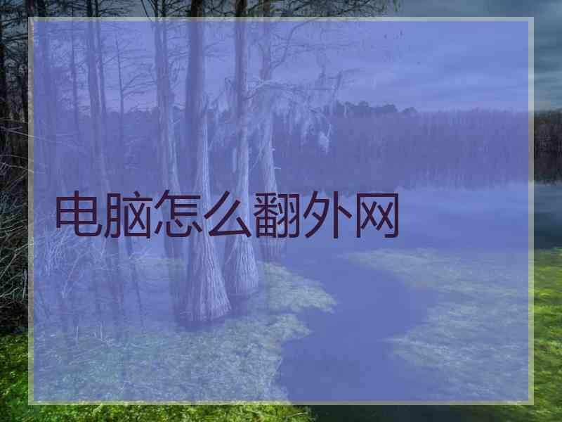 电脑怎么翻外网