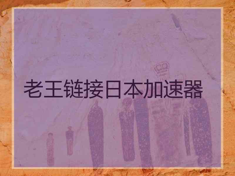 老王链接日本加速器