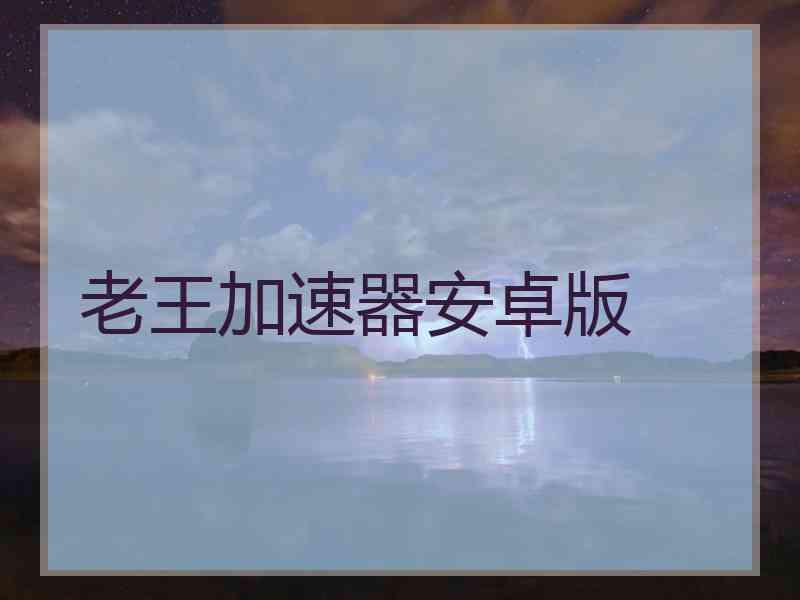 老王加速器安卓版