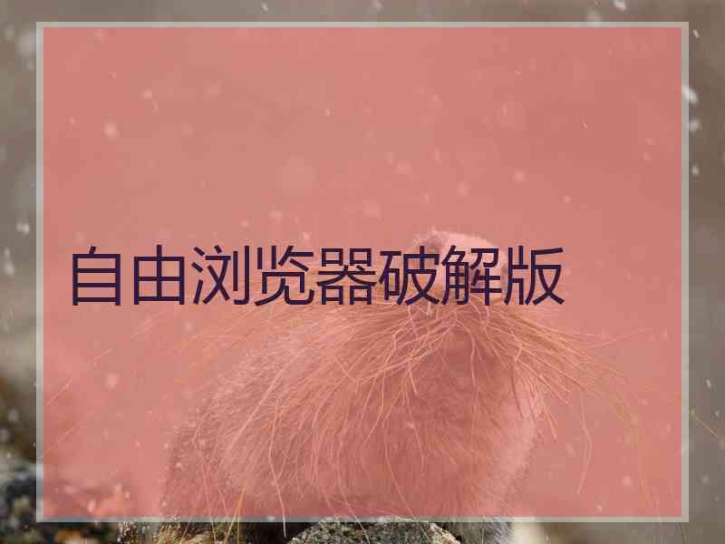 自由浏览器破解版