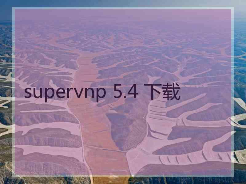 supervnp 5.4 下载