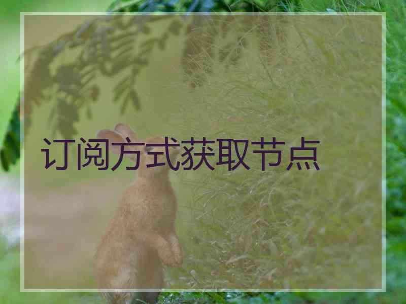 订阅方式获取节点