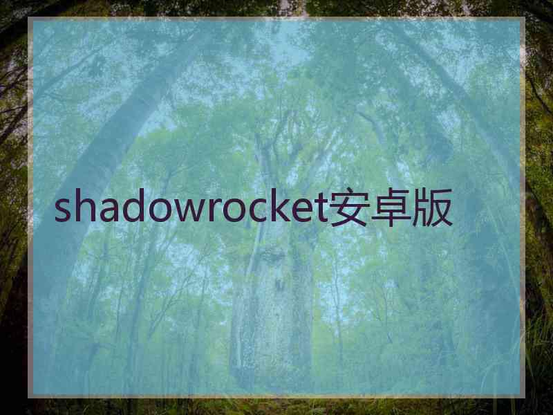 shadowrocket安卓版
