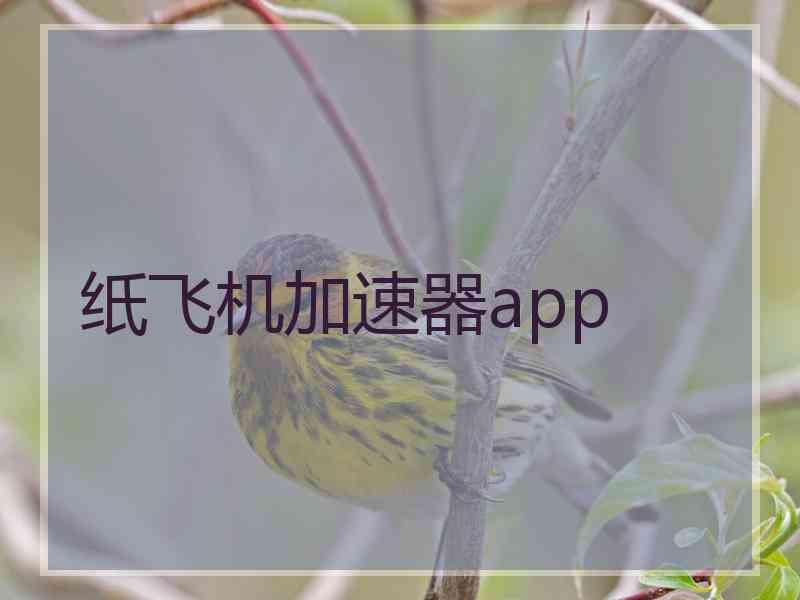 纸飞机加速器app