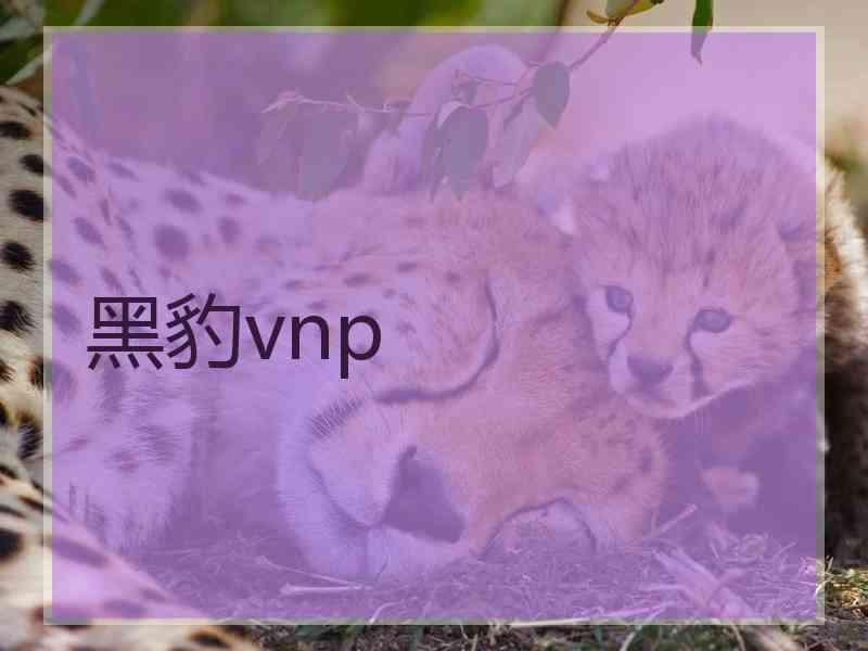 黑豹vnp
