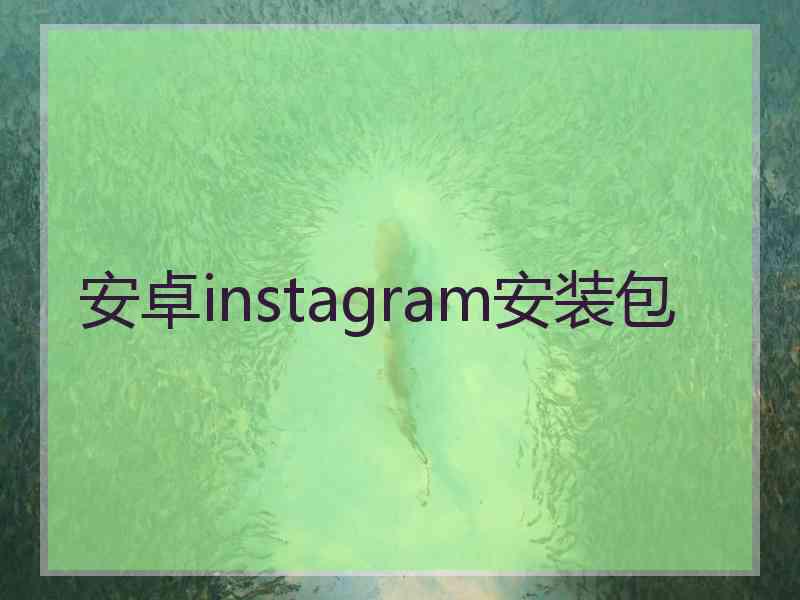 安卓instagram安装包