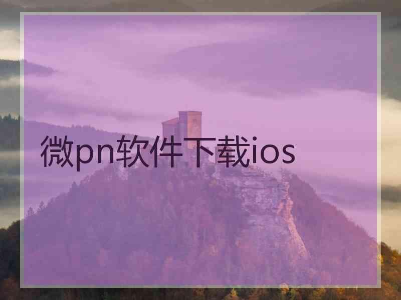 微pn软件下载ios