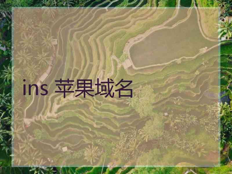 ins 苹果域名