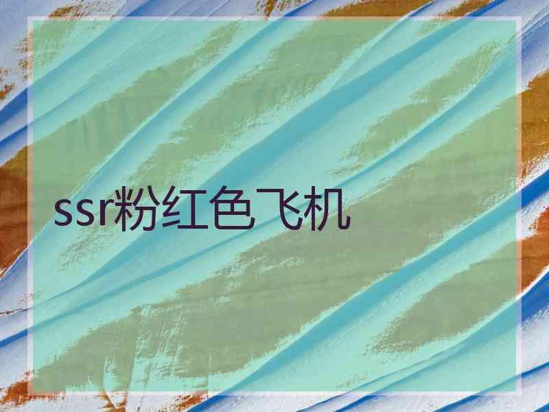 ssr粉红色飞机