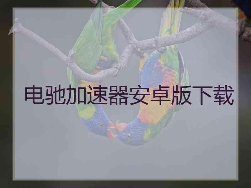 电驰加速器安卓版下载