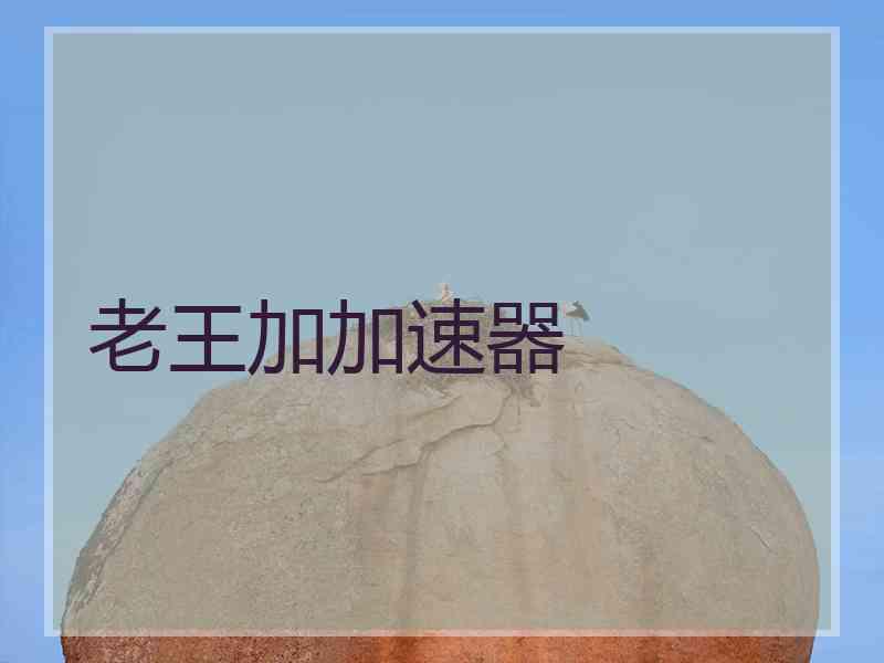 老王加加速器